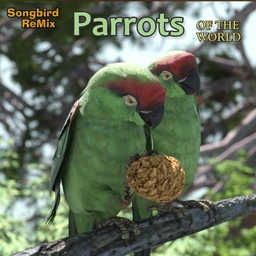 SBRM Parrots Vol 1 – Parrots of the World