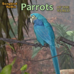 SBRM Parrots Vol 2 – Macaws of the World