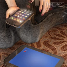 Smartphone and Tablet