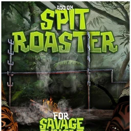 Spit Roaster For DS