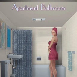 The Apartment Bathroom