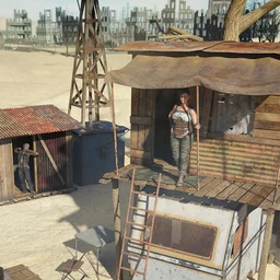 Wasteland Settlement