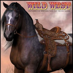 Wild West Textures for Western Tack