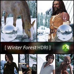 Winter Forest HDRI