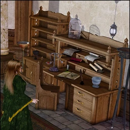 Wizard Study Furniture
