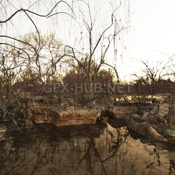 3D Scenery – Old Swamp
