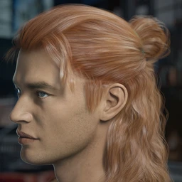 Briggs Hair for Genesis 8 Male and Females