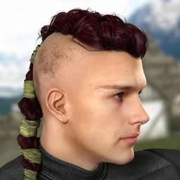 Colors for Viking Male Hair