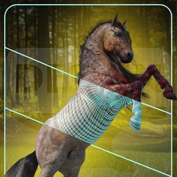 DA Geoshell Toolbox for Horse 2