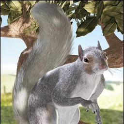 DAZ Squirrel