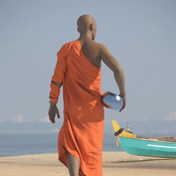 dForce Buddhist Monk Robes for Genesis 8 Males