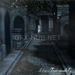 DMs Tranquility Lane