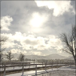 Easy Environments Winter Fields