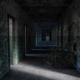 FG Abandoned Mental Hospital