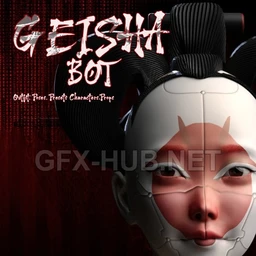 Geisha Bot For DS