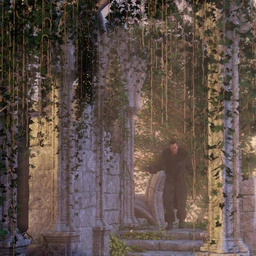 Hanging Vines – Ivy Plants