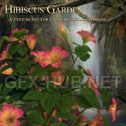 Hibiscus Garden