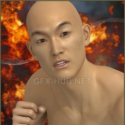 Huo Long Mix And Match Expressions For Lee 6