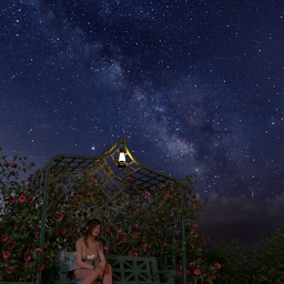 Orestes Iray HDRI Skydomes – A Night in August