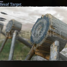 Photo Props – Medieval Target