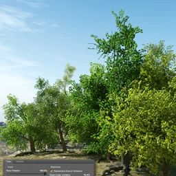 Randomizable Trees