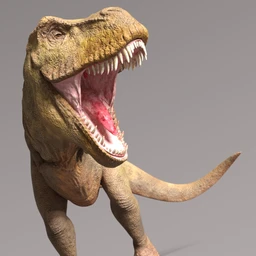 Rex HD for Genesis 8.1 Male