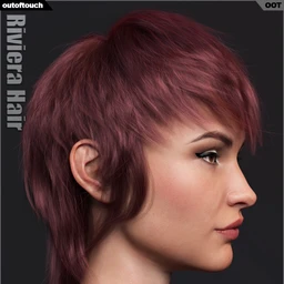 Riviera Hair for Genesis 3 and 8