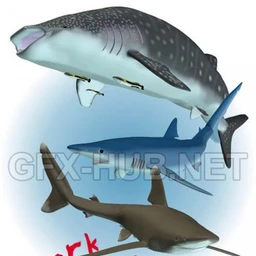 Shark Attack Pack 1