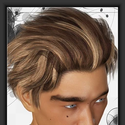 ShoXoloR for North Hair