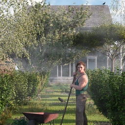 Shrubs for Foliage and Hedging Vol 1