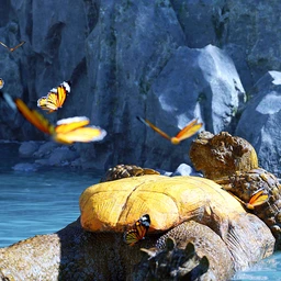 Storybook Turtle HD for Genesis 8.1 Males