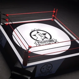 The Fighting Ring