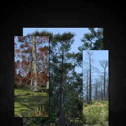 UltraScenery – Swamp