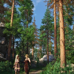 Walking in the Woods