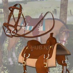 Western Horse Tack for the Millennium Horse