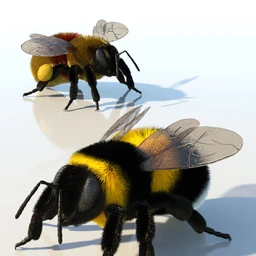 Little Friends Insect Bundle