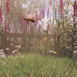 Simply Grass – Grass Plants and Clumps