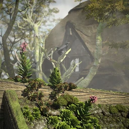 Tiny Plants – House Leeks