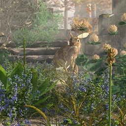 Tiny Plants III – Tiny Flowers