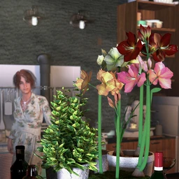 Tropical Flowers – Amaryllis