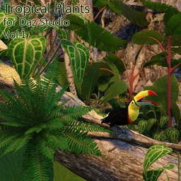 Tropical Plants for Daz Studio and Iray Vol.1