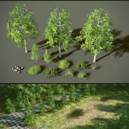 Abandoned Factory Vegetation