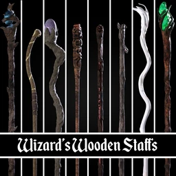 BW Wizard Wooden Staffs Set for Genesis 8.1 (1)