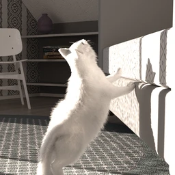 Kitty Cat Poses for Daz House Cat