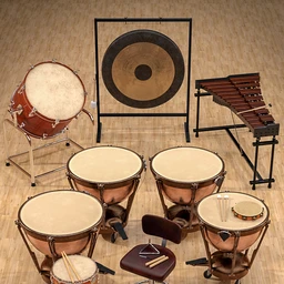 Orchestral Percussion