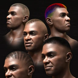 Pattern Shaved Head Hair for Genesis 8 Males
