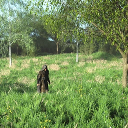 Simple Grasslands Expanse