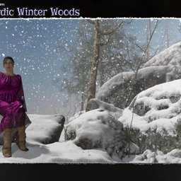 3D Scenery – Nordic Winter Woods