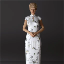 dForce H&C Long Qipao Dress for Genesis 8 Female(s)