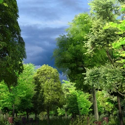 Forests Trees and Grass World Building Set